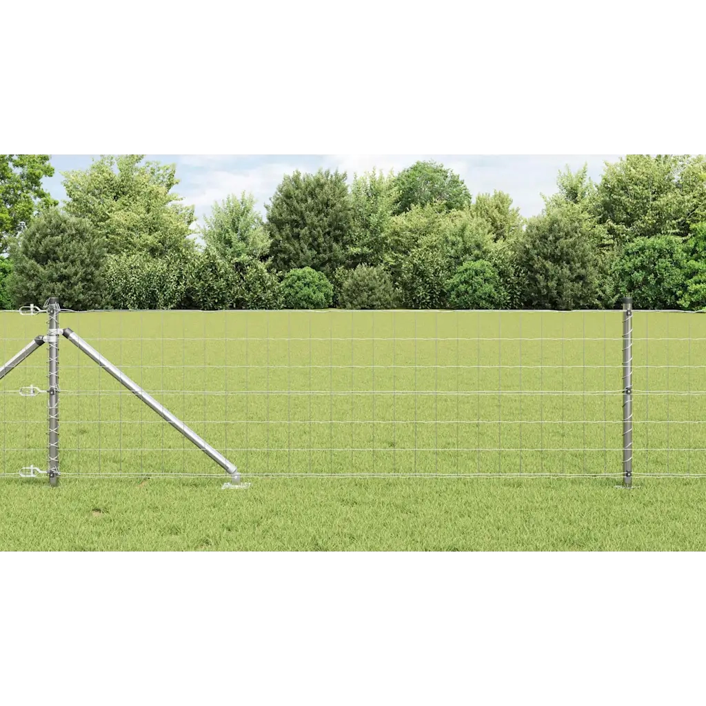 Recinzione da Giardino | Recinzione con Posto Argento 0,8 x 25 m Acciaio