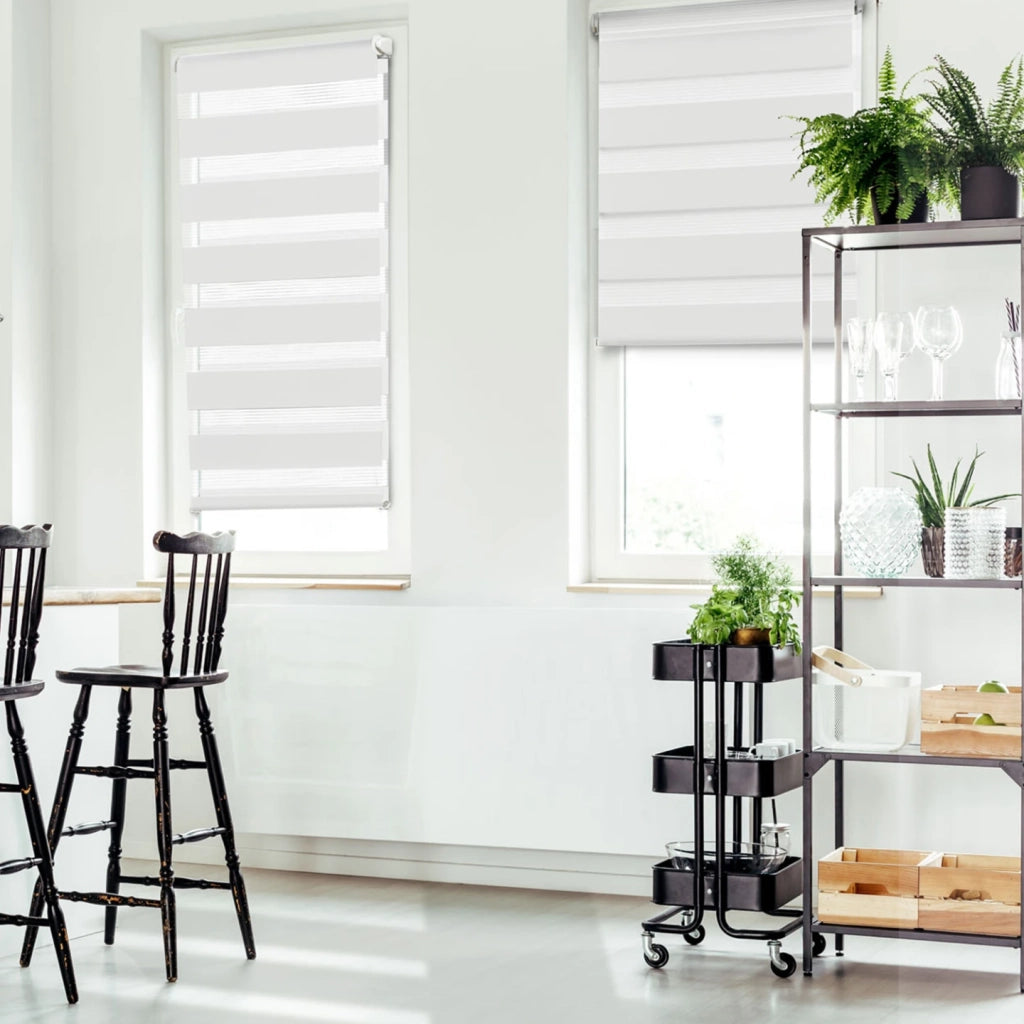 IDMarket - Set di 2 tende a rullo, giorno e notte, 55x170 cm, bianco