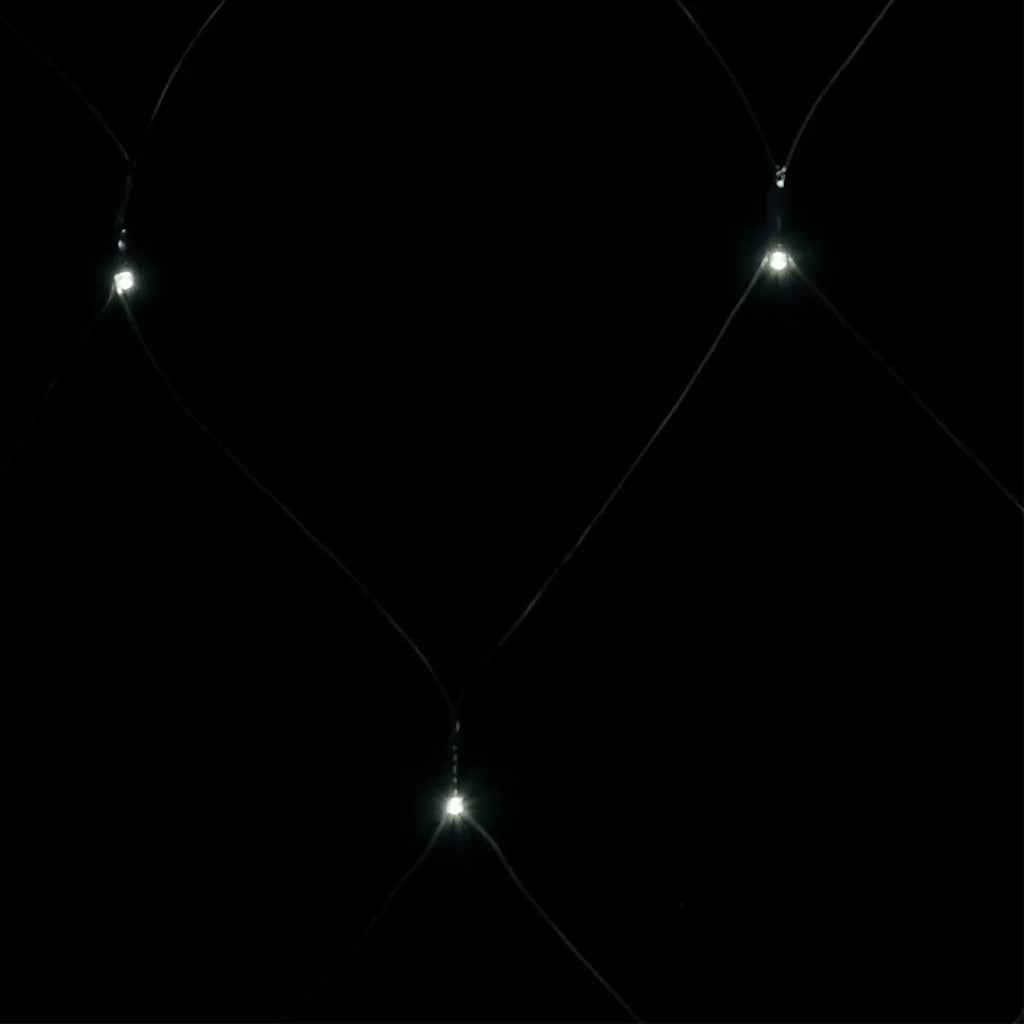 Luci di Natale Rete Bianco Freddo 3x3m 306 LED Interni Esterni CFW3796232