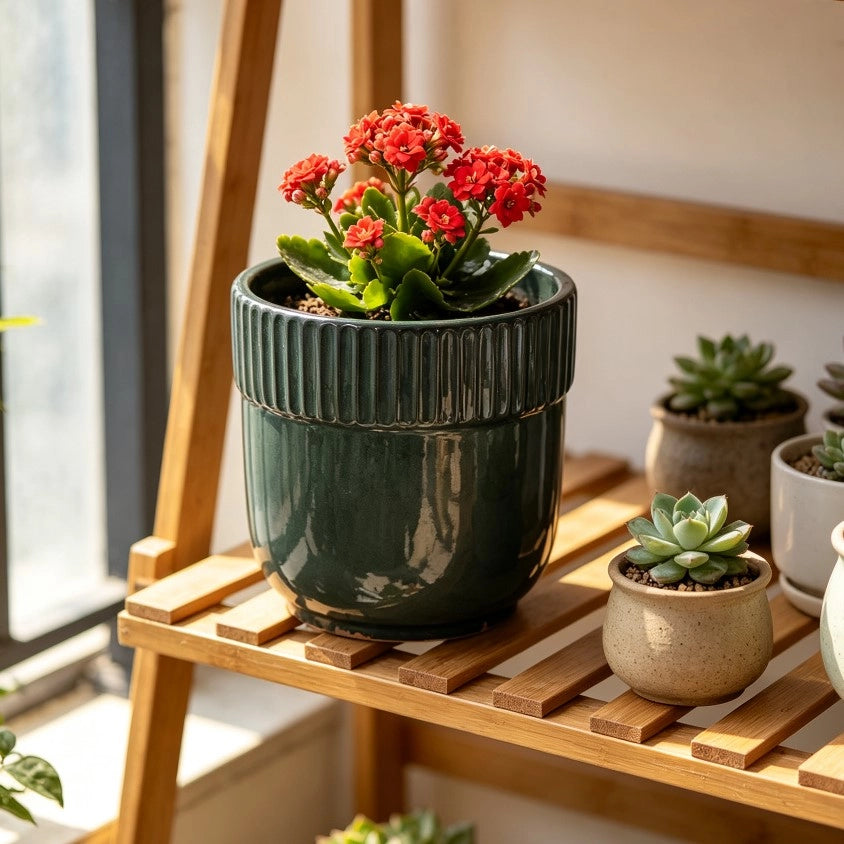 Vaso da fiori in ceramica artigianale smaltata lucida verde scuro con bordo rigato verticale Ø 23 cm