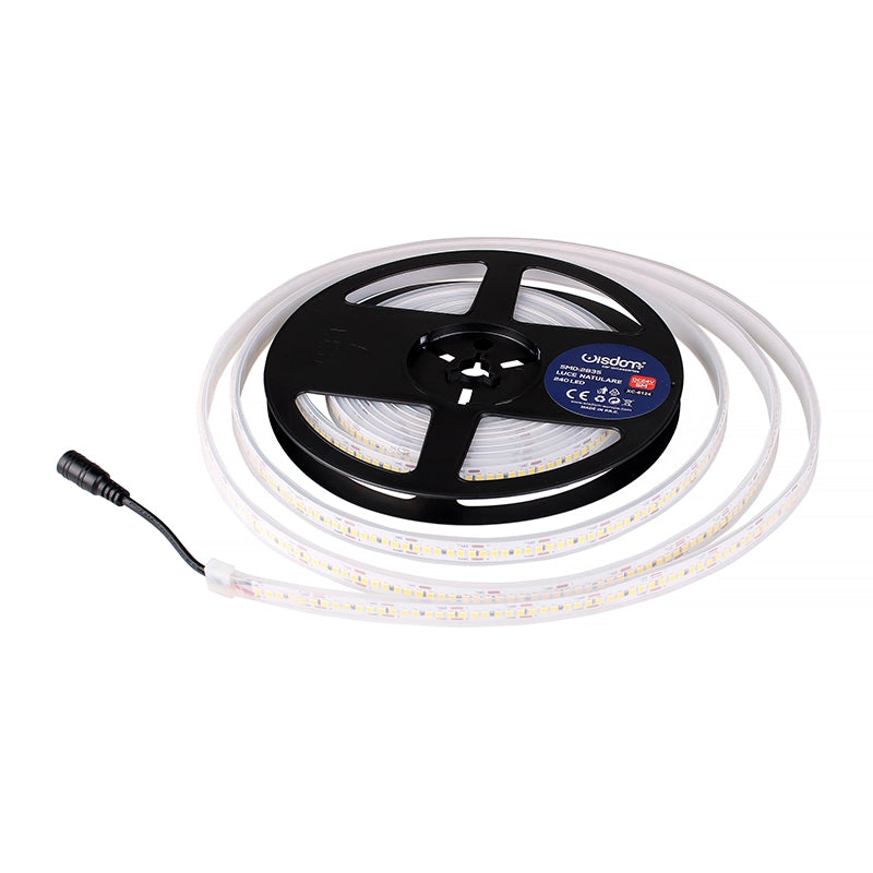 STRISCIA LED SMD 2835 DA 5 METRI LUCE FREDDA 6500K PER USO ESTERNO - ALTA LUMINOSITA' E FLESSIBILITA' PER OGNI ESIGENZA
