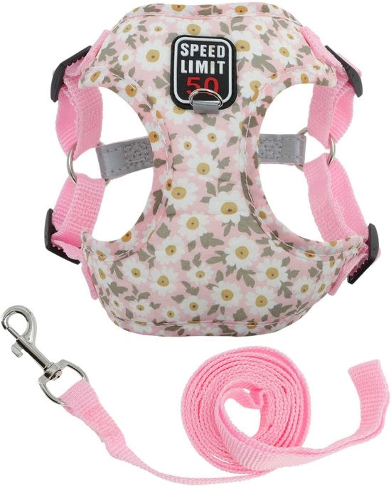 Attrezio per Cani Piccoli/Medie Dimensioni - Set di Cintura - Strisce Riflettenti - Materiale di Alta Qualità Poliestere/Coton - Sistema di Chiusura Sicuro