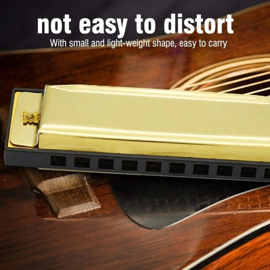 Harmonica Diatonica Professionale - 10 Fori - Strumento Musicale Metallico - Educativo per Principianti - Format Miniportatile - Alta Qualità di Suono - Harmonica da Bocca