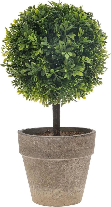 Bonsai a forma di palla con erba artificiale e pianta di Buxus in vaso con decorazione per giardino e matrimonio