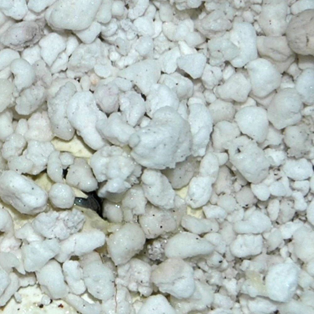 Lucky Reptile HatchRite 2L - substrato per incubazione