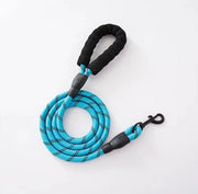 Riem Riflettente per Cani – Corda per Cani in Nylon – Maniglia Finemente Realizzata – Blu – 150CM
