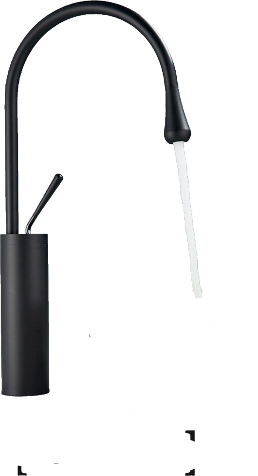 Lydia | Rubinetto da bagno Hotel Gastro nero | in acciaio inox per lavelli alti|rubinetto miscelatore 2 attacchi| Raccordo alta pressione alto bagno