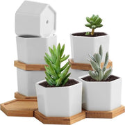 Set di 6 vasi per piante in ceramica - 6 vasi a sei facce bianchi per piante grasso - Vasi per piante in ceramica - Mini vasi decorativi per bonsai per casa, giardino, ufficio, decorazione, desktop, mensola, finestra, regalo - 6,6D x 4,6B x 7,0H - Bianco