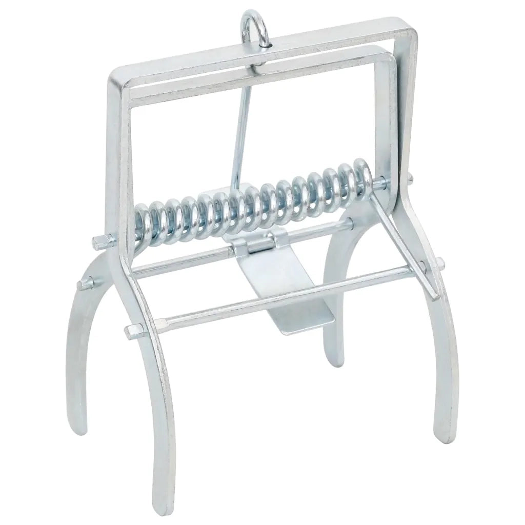 Trappole per Talpe 4 pz Argento Acciaio Zincato CFW2909574