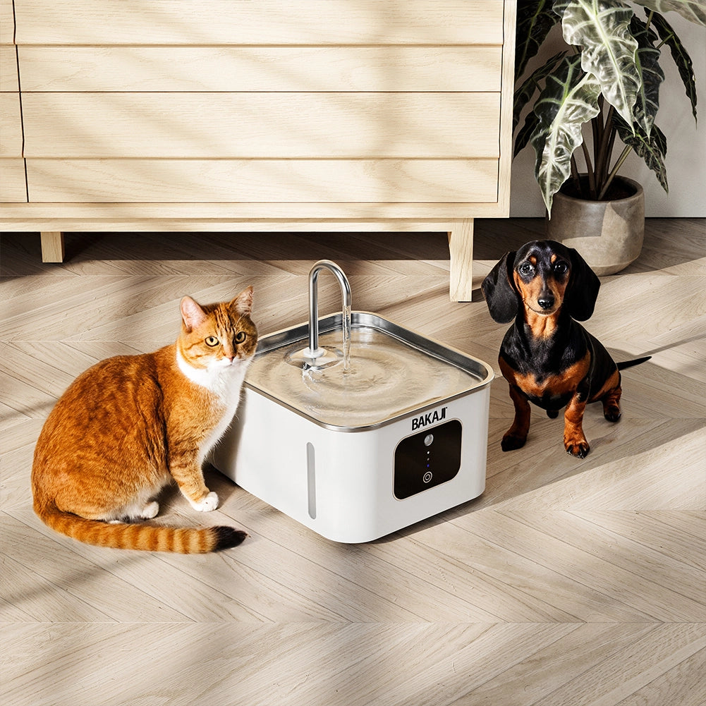 Dispenser Erogatore d'Acqua da 3.5 Litri Intelligente per Animali con Sensore
