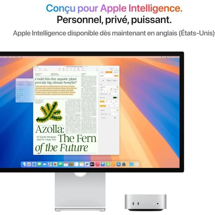 Apple - Mac mini (2024) Chip Apple M4 - 16 GB di RAM - 512 GB di spazio di archiviazione SSD - CPU a 10 core GPU a 10 core - Argento