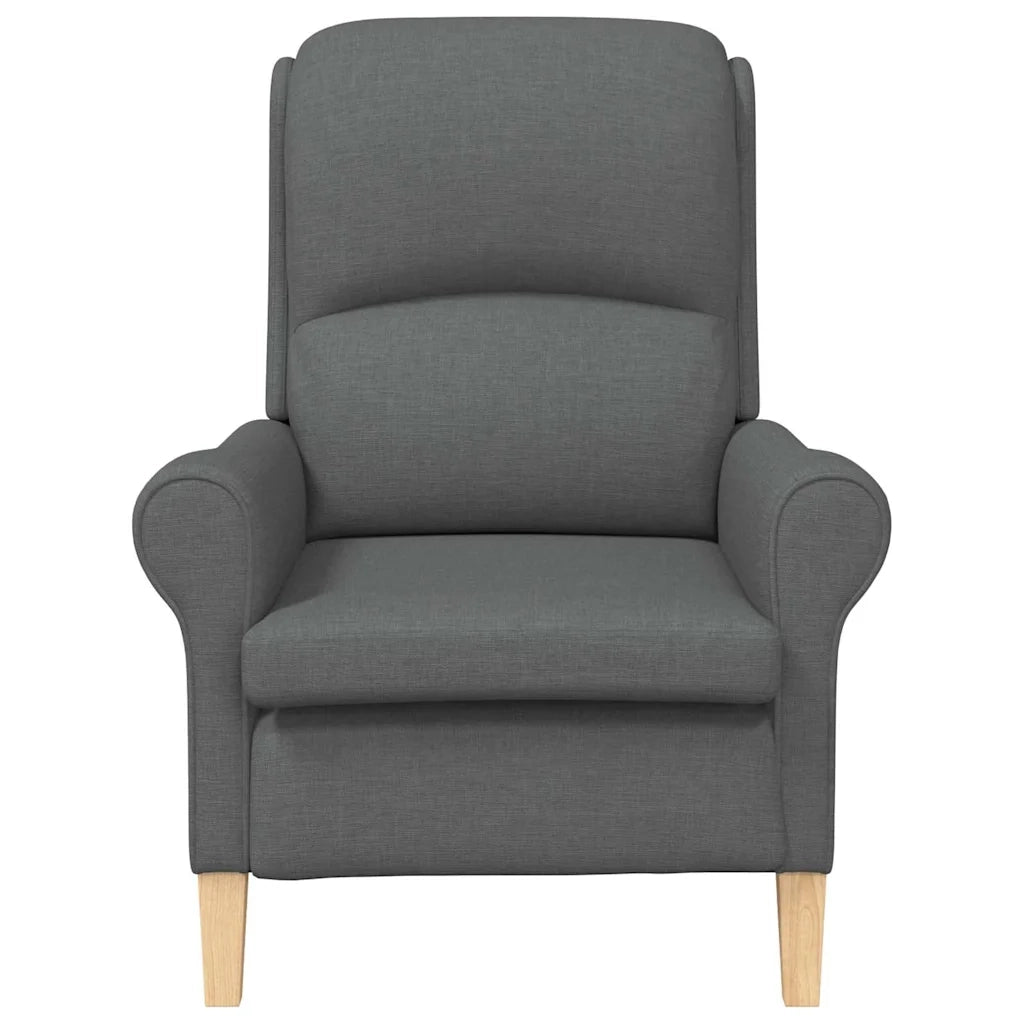 Poltrona-Divano Sedia-Poltroncina Grigio scuro Tessuto 207608
