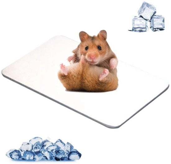Koelcuscino per Animali Domestici - Matrice di Raffreddamento per Conigli e Hamsters - Piastra di Raffreddamento in Lega di Alluminio - Leggero - 120 × 80 mm - Eccellente Conduttività Termica