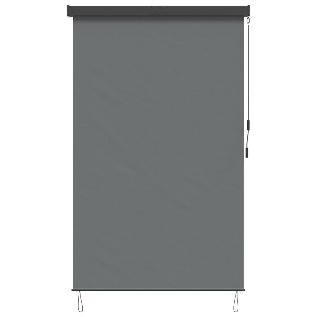 Tenda a rullo Grigio Chiaro 120 x 250 cm Tessuto e Alluminio 42037184