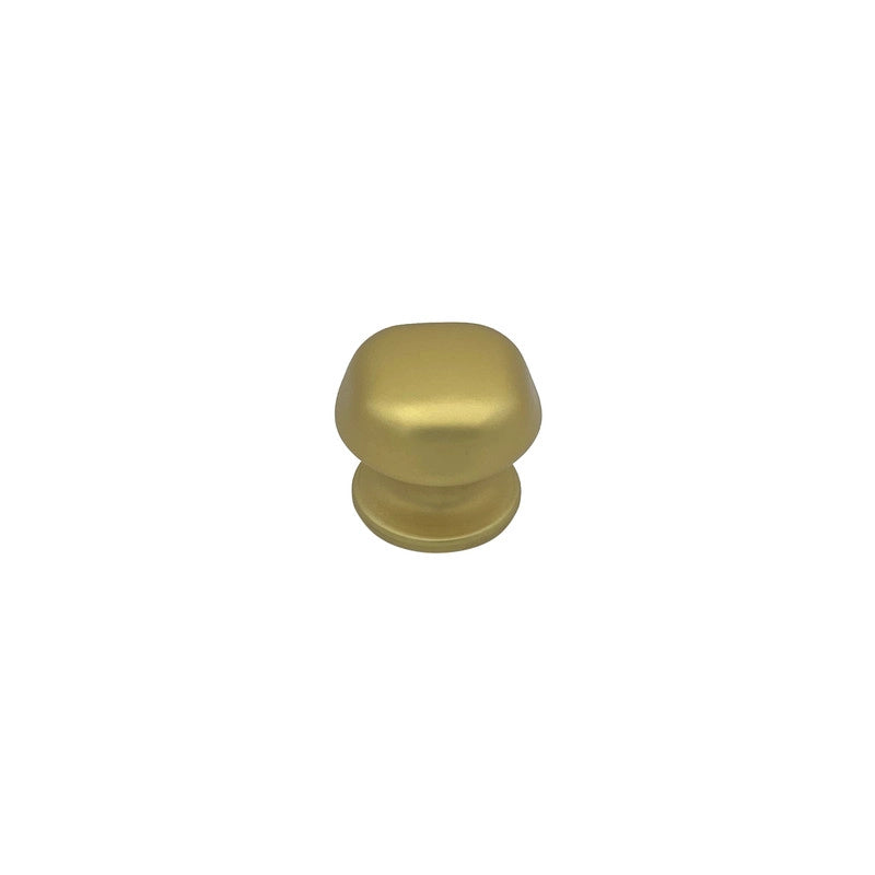 Pomolo fisso per porta SAGUATTI 172/60FB in alluminio oro satinato