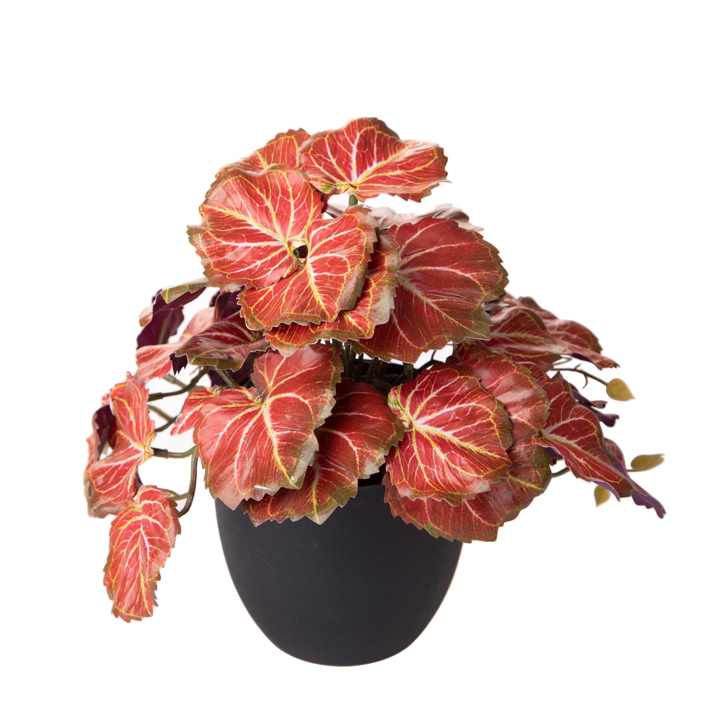 Set 3 Rami Artificiali Heuchera in Vasi 20 cm