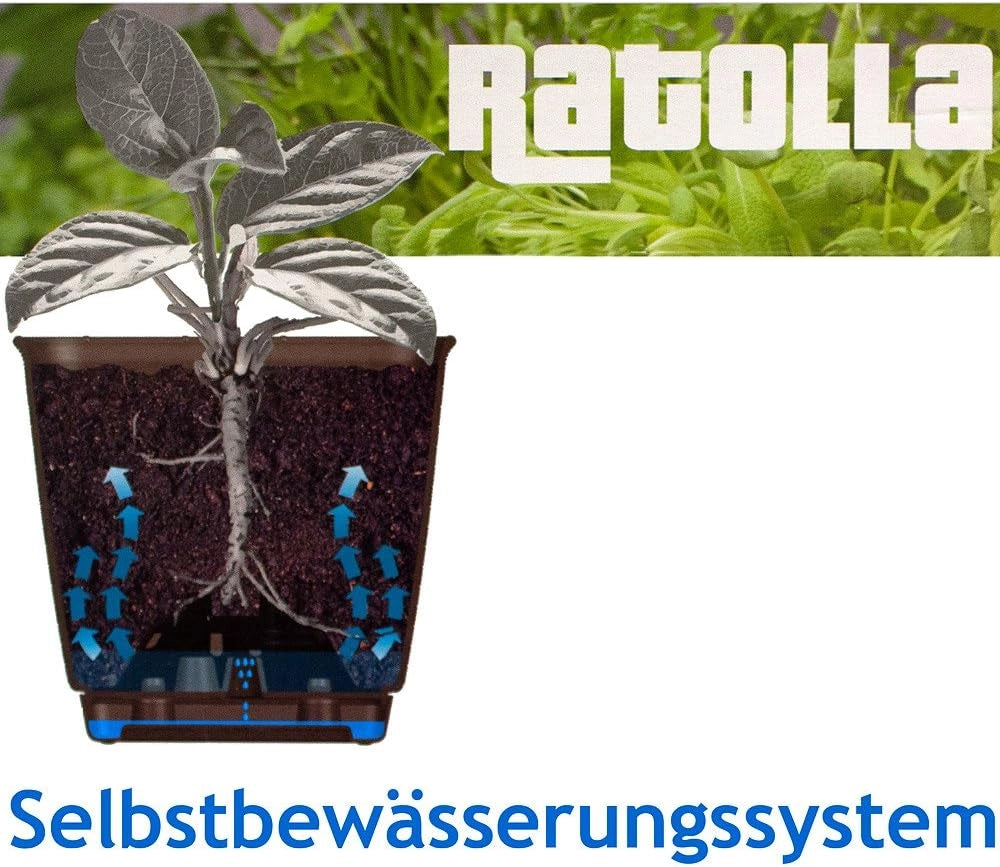 Fioriera Ratolla 49/39 cm - 12/6 l per giardino, balcone, casa, fiori, piante