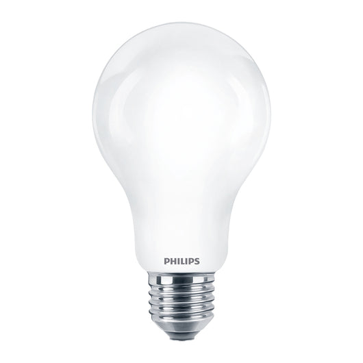 Lampadina LED A67 150W E27