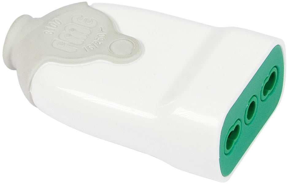 Fanton PRESA SEMPLICE IN BLISTER 2P+T 10/16A