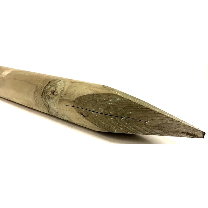 Pali in legno impregnato con punta 20 pezzi diametro 6 cm lunghezza 250 cm per recinzioni giardino - Esterni da Vivere