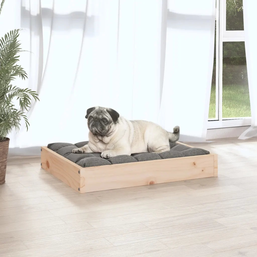 Cuccia per Cani 61,5x49x9 cm in Legno Massello di Pino CFW9447358