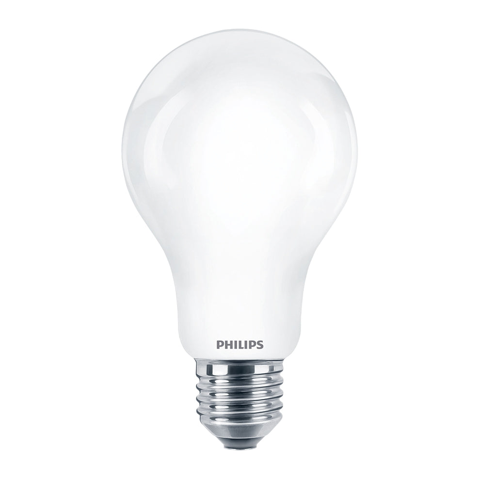 Lampadina LED Philips 120W E27