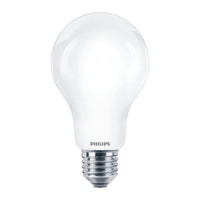 Lampadina LED Philips 120W E27
