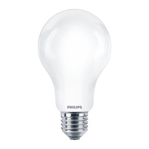 Lampadina LED Philips 120W E27