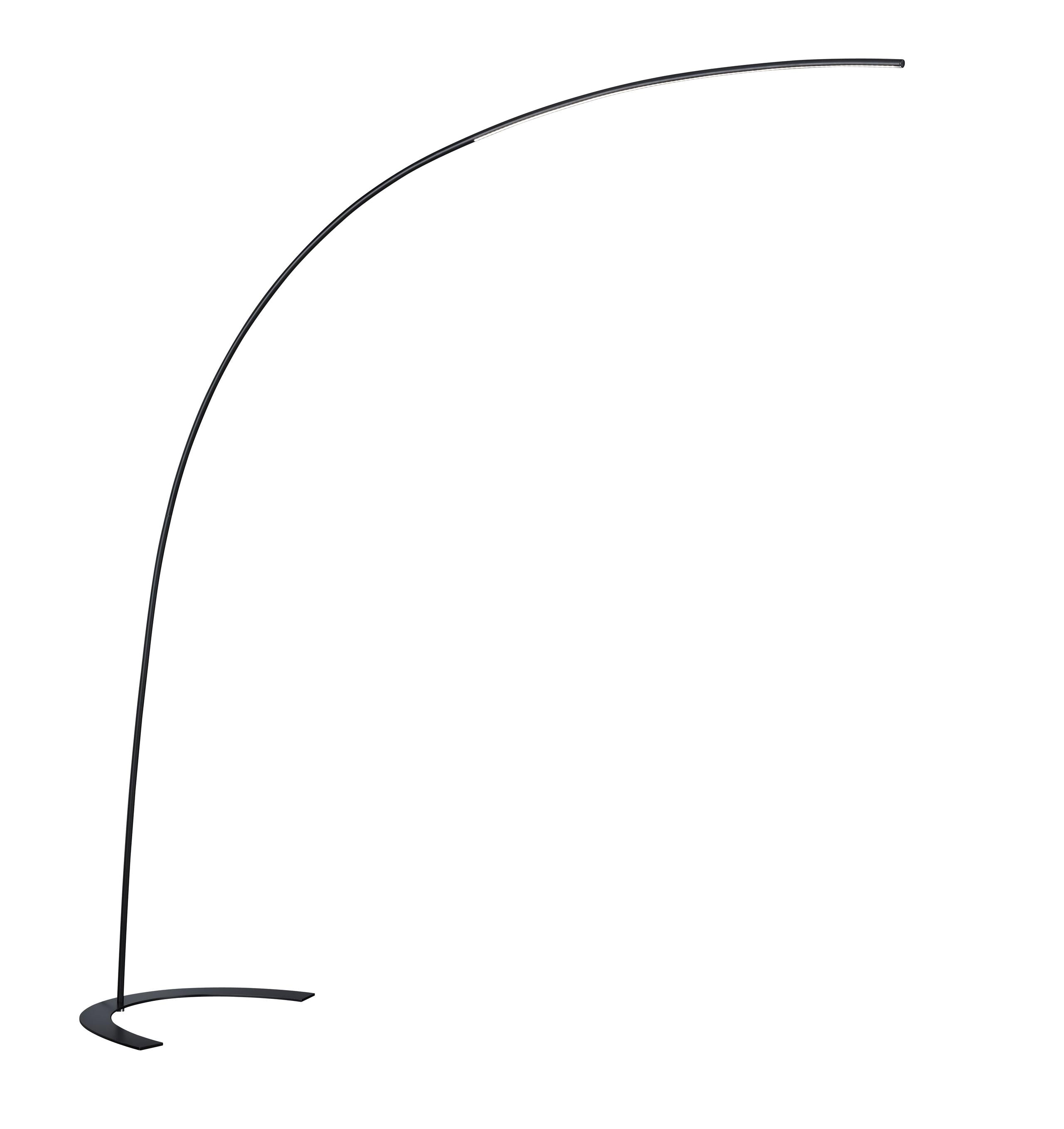 Piantana da Interno a LED in Metallo Nero