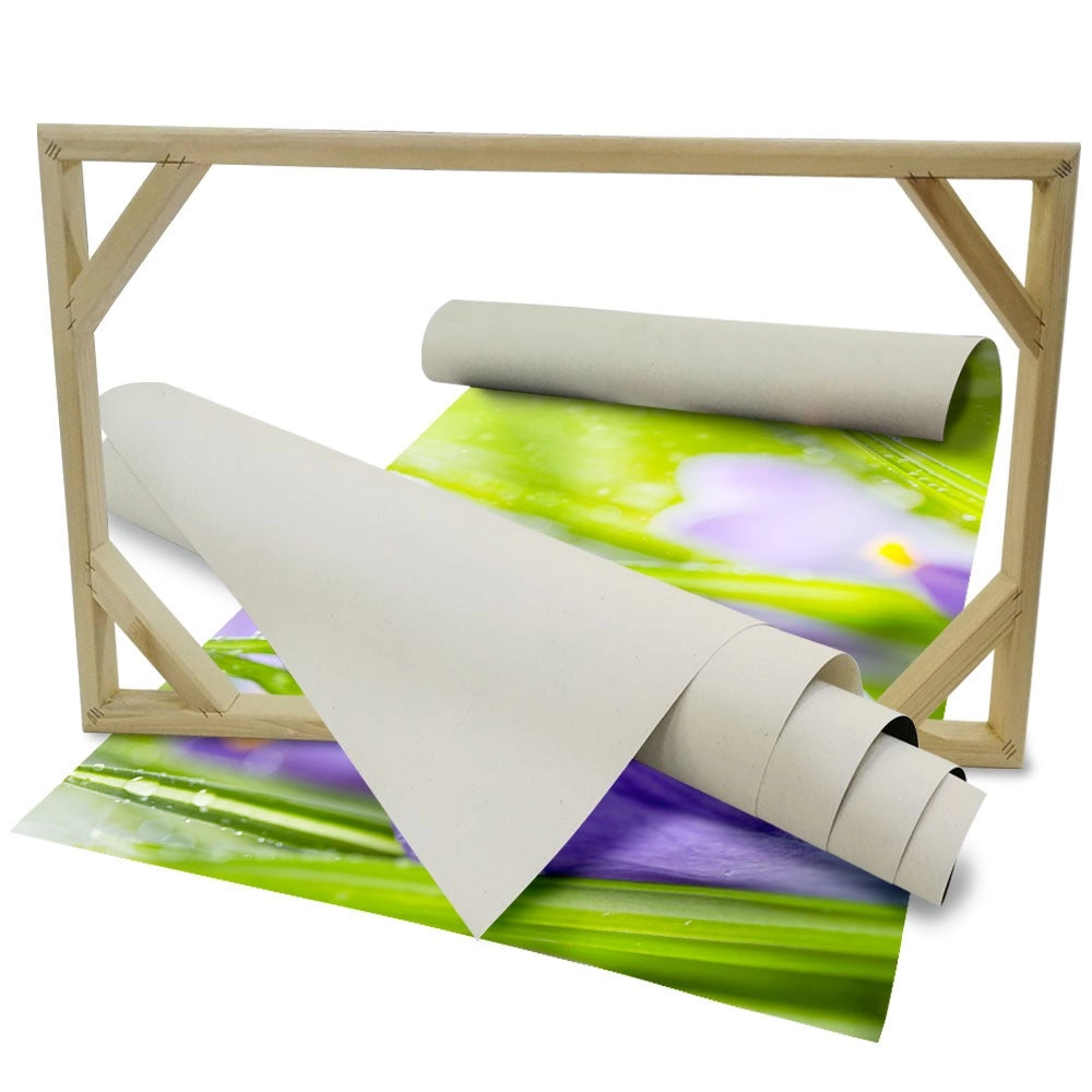 Fiori della Sorgente del Croco - Quadro Canvas su telaio in legno Misura: 70X50 cm