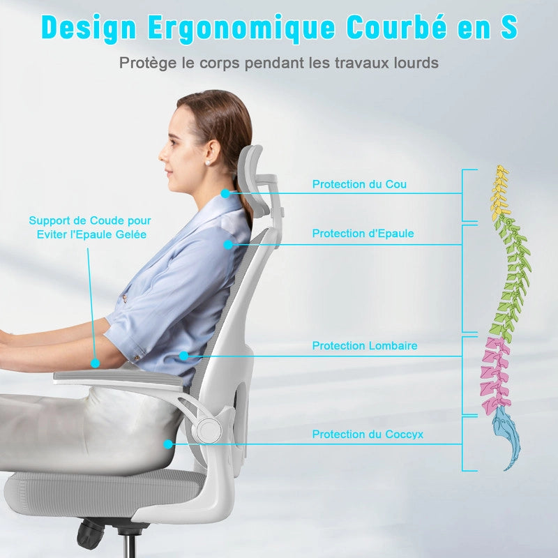 Sedia da ufficio - HAMLODY Poltrona ergonomica con braccioli 2D, altezza poggiatesta supporto lombare schienale regolabile grigio