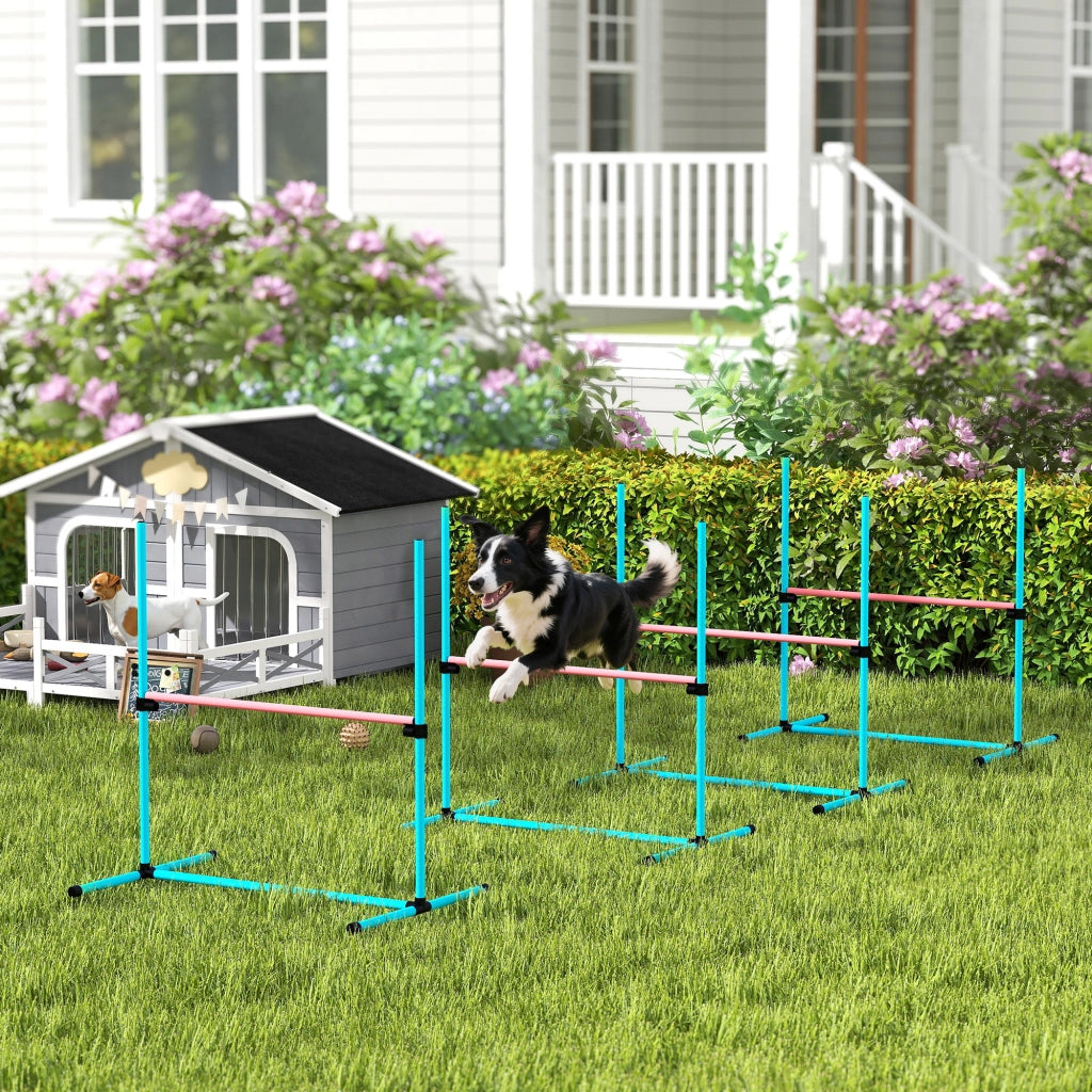 Set Agility per Cani 4 Pezzi ¨C zephmum ¨C Blu 99x65x94 cm