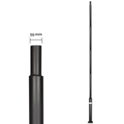 PALO Per Lampione da Giardino 4,6 Metri Imboccatura d.59 mm