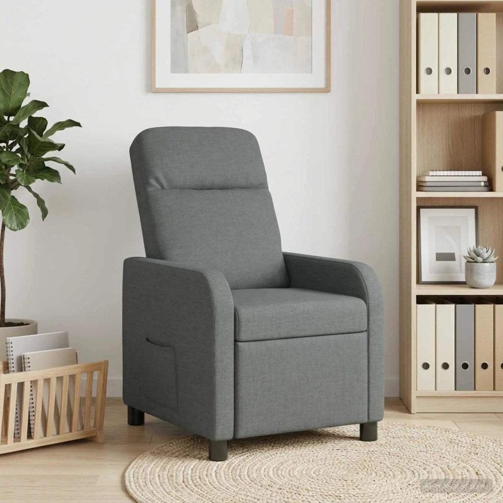 Divano Sedia-Poltrona reclinabile Grigio Scuro Tessuto 687230