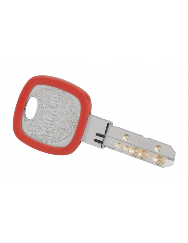 Anello portachiavi Ø 30 mm, colori assortiti – THIRARD