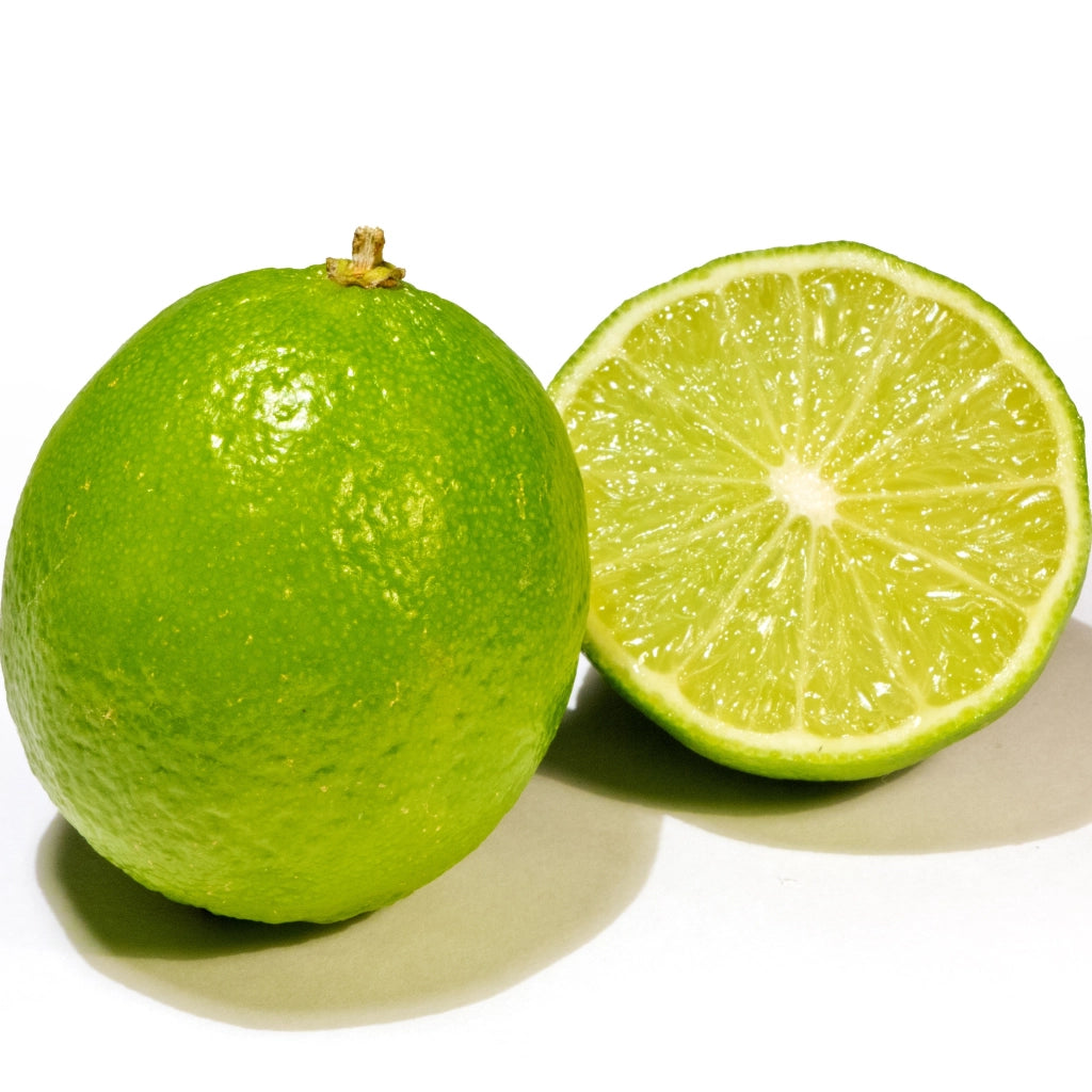 Gardenaria Lime - Citrus aurantiifolia - Pianta di agrume da frutto in vaso Altezza: 40 cm (vaso 15)