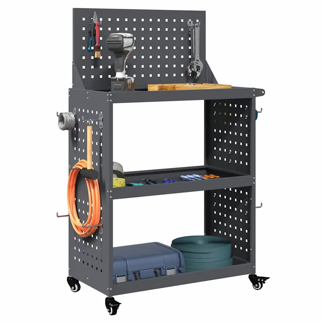 Carrello per Attrezzi con ruota Antracite 65 x 35 x 111 cm 874548