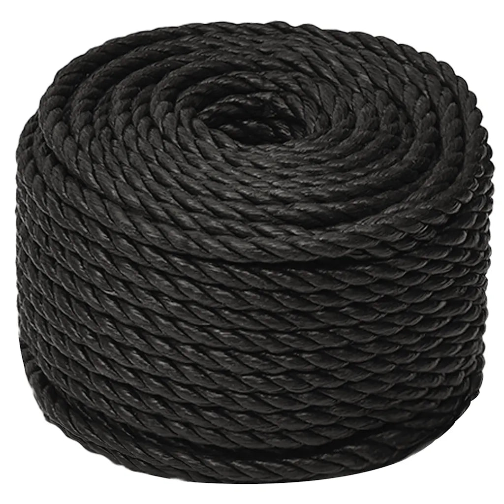 Corda da Lavoro Nera 10 mm 500 m in Polipropilene 153015