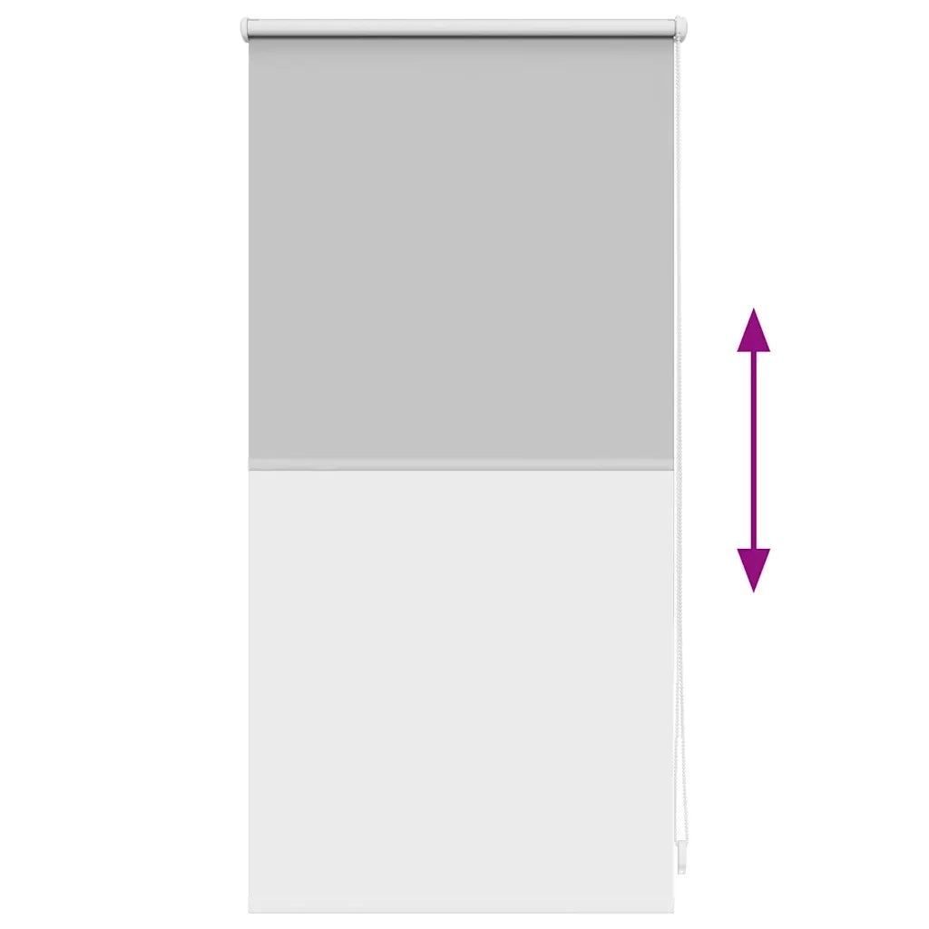 Tenda a rullo | Tenda avvolgibile oscurante 44,4x100 cm Tessuto Larghezza 40 cm Grigio