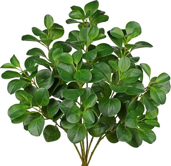 6 Pezzi di Rami Fittili 72 cm - Rami Fittili per Vaso - Rami di Fico - Rami Decorativi Verdi come Rami Naturali