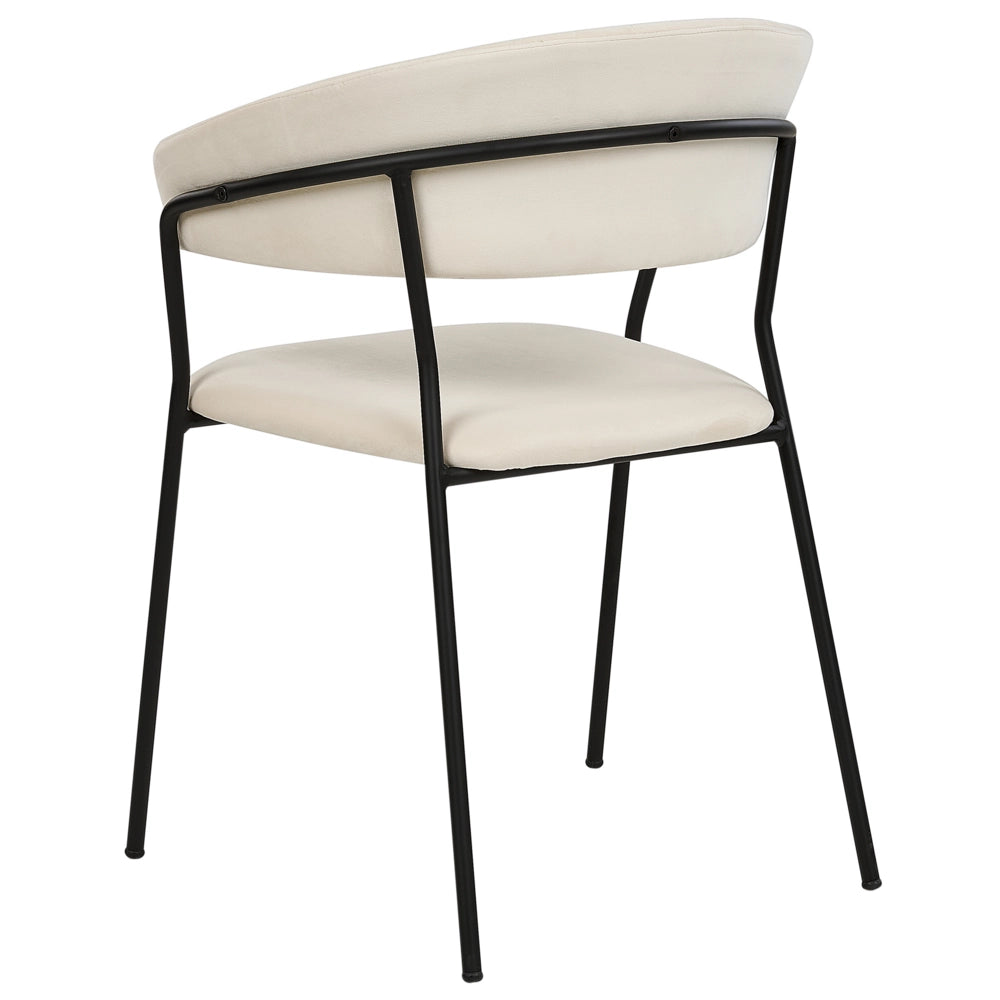 Set di 2 sedie da pranzo in tessuto vellutato bianco sporco  Rivestimento in metallo nero Gambe con braccioli Schienale curvo Design moderno e contemporaneo