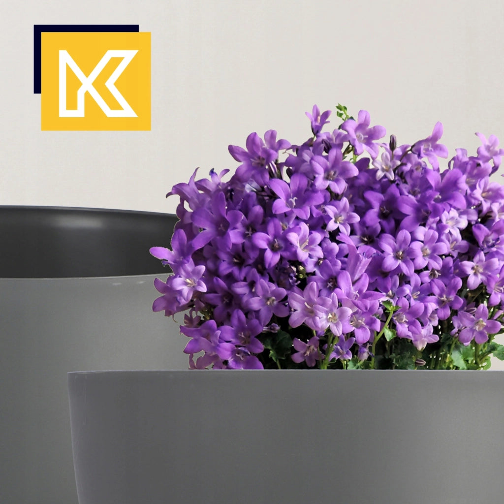 Vaso da fiori KADAX, fioriera, coperchio, gambe, inserto, supporto per fiori, 29+40 cm, antracite, 2 pezzi.