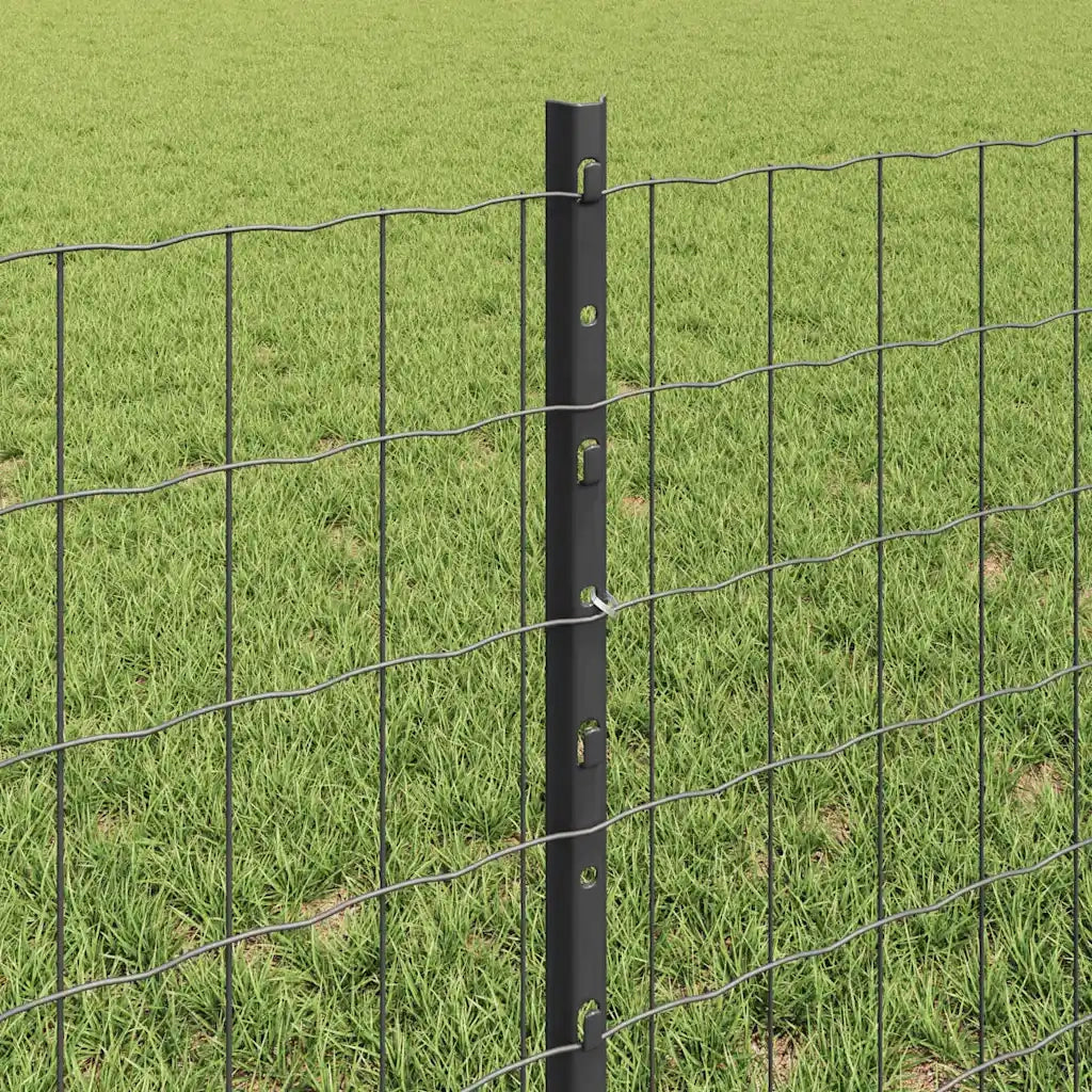 Recinzione da Giardino | Recinzione con Posto Grigio
