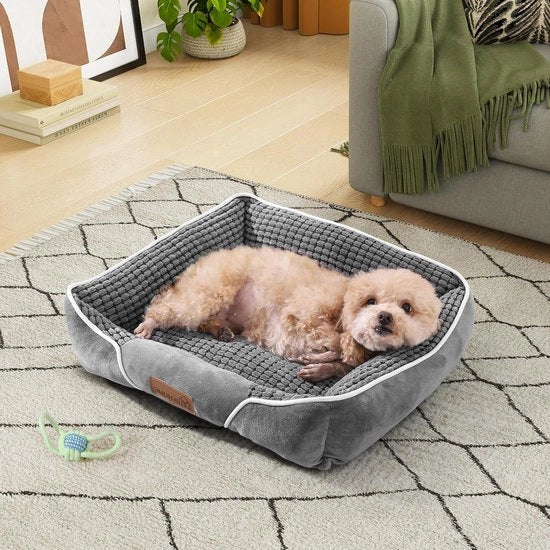 Cuscino per cani - Cuscino per cani Superzucchero Comfortevole Cuscino per cani piccolo Lavabile Tela di mais grigia 51 cm x 48 cm x 15 cm con fondo antiscivolo