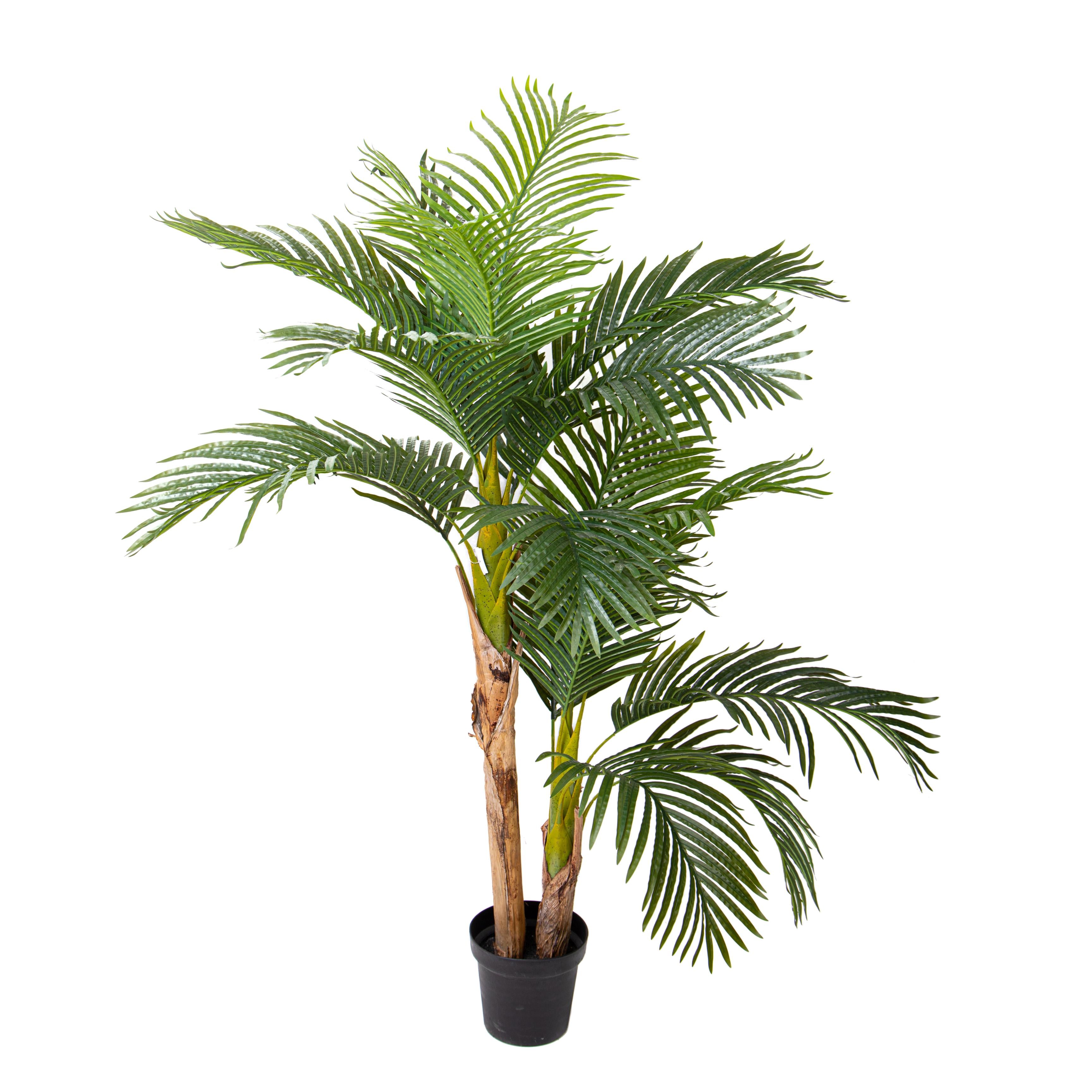 Pianta Artificiale Areca con Vaso H 165 cm