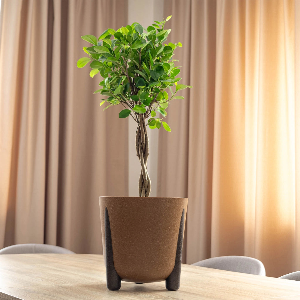 Vaso da fiori KADAX, coprivaso, con gambe, con inserto, moderno, marrone, 30 cm