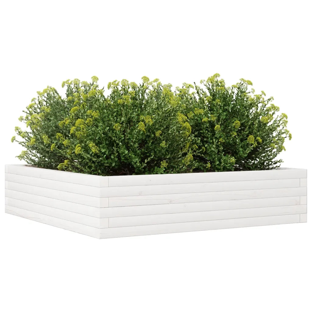 Fioriera da Giardino Bianca 100x100x23 cm Legno Massello Pino