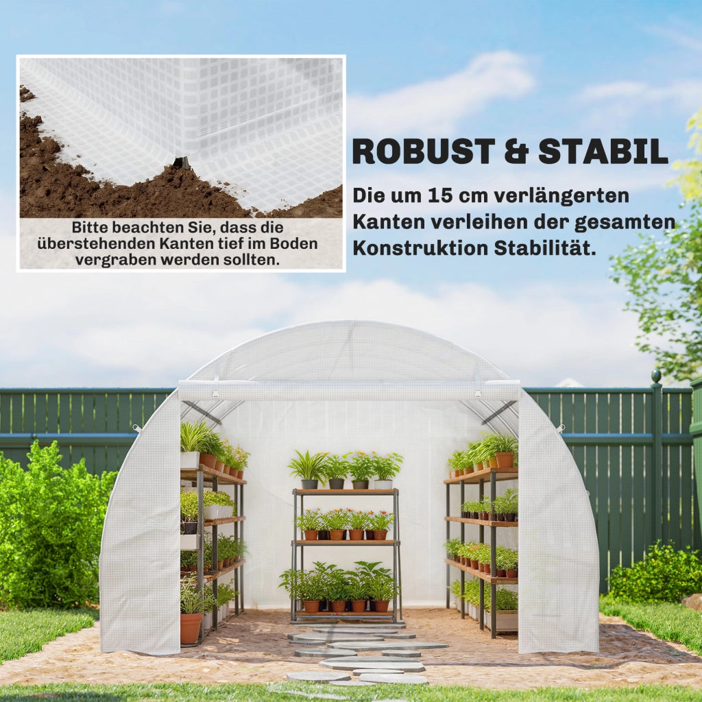 Telo Serra Trasparente ¨C Minimal ¨C 3x3m Polietilene Impermeabile UV Protezione con Finestre