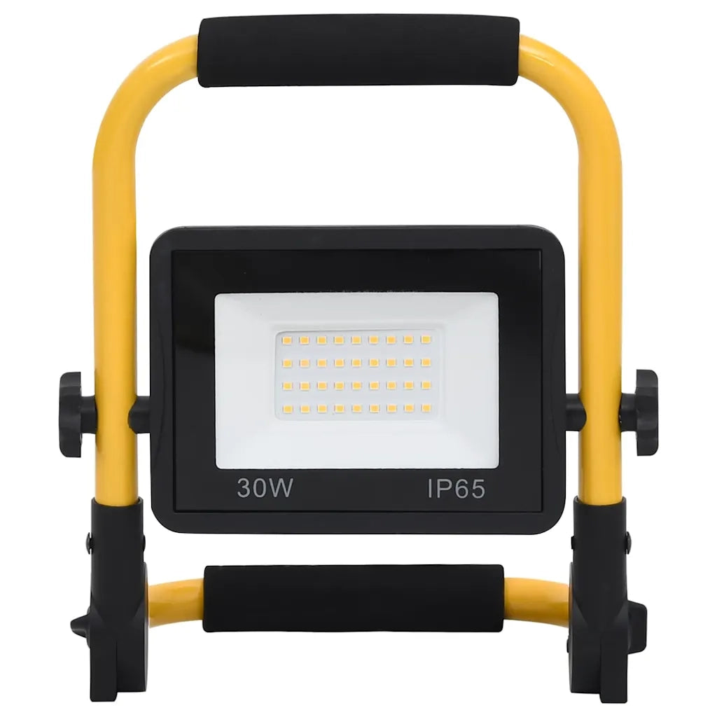 Faretto a LED con Maniglia 30 W Bianco Freddo CFW8805146