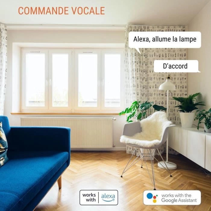 Set di 2 prese connesse Wi-Fi + BT - KONYKS - Priska FR Dual Pack - 16 A - Con contatore di consumo
